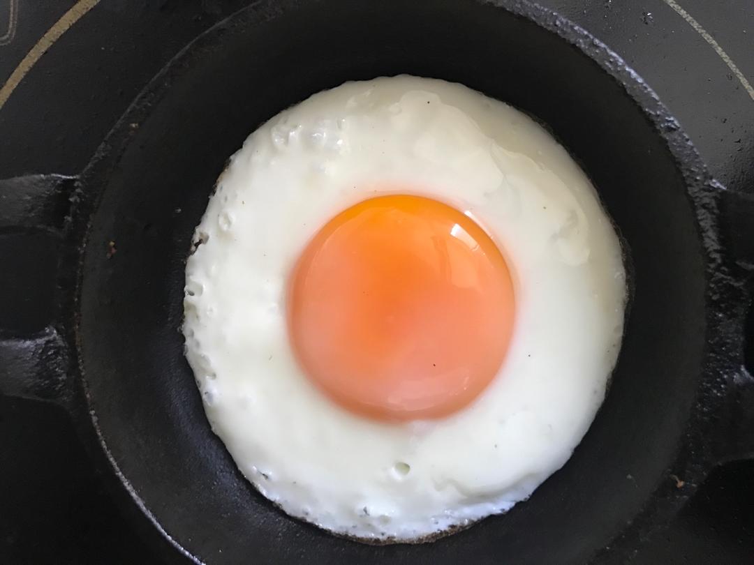 【熊记】太阳蛋