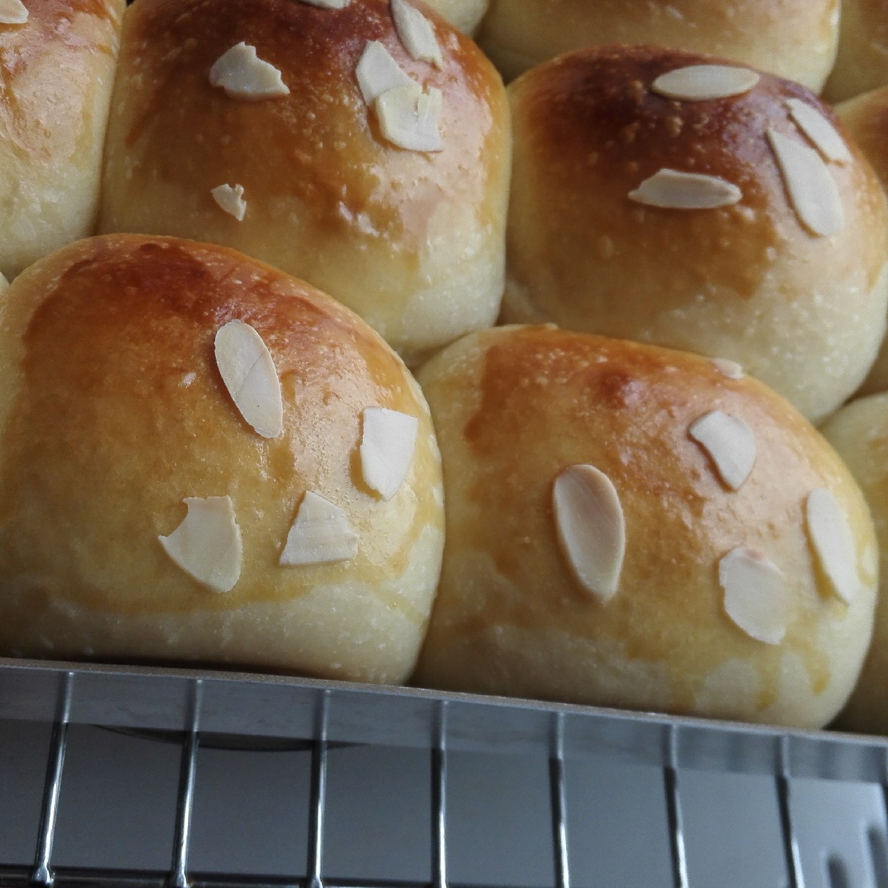 鲜奶油小餐包（一次发酵）