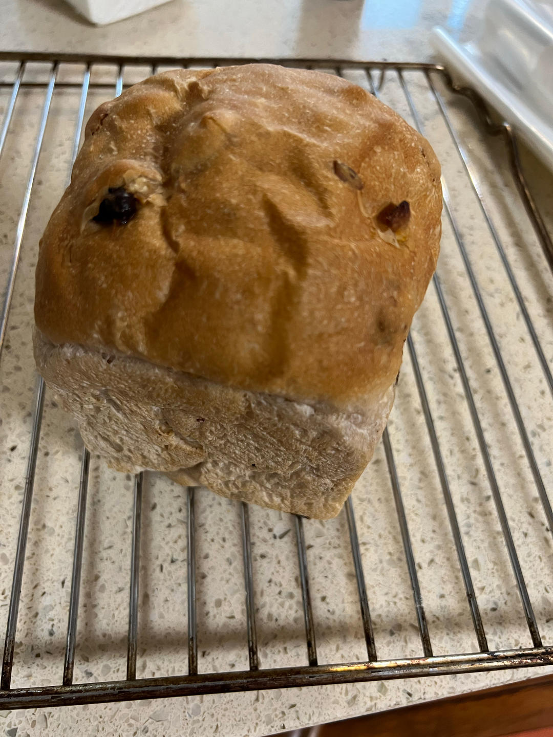 软噗噗的红酒全麦小葡萄