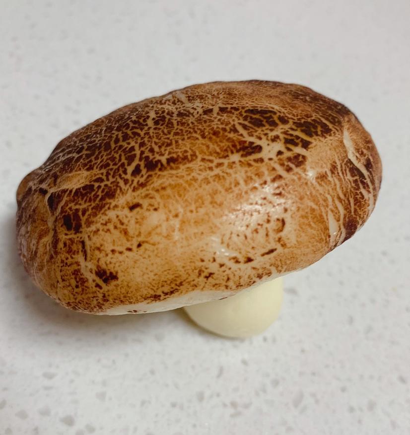 墨薄荷做的造型馒头蘑菇