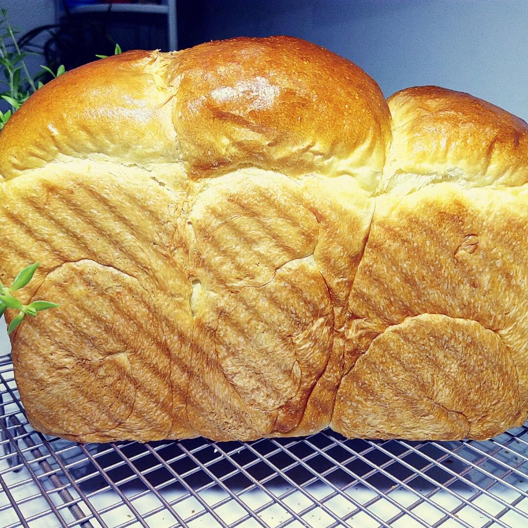 爱到疯狂的庞多米