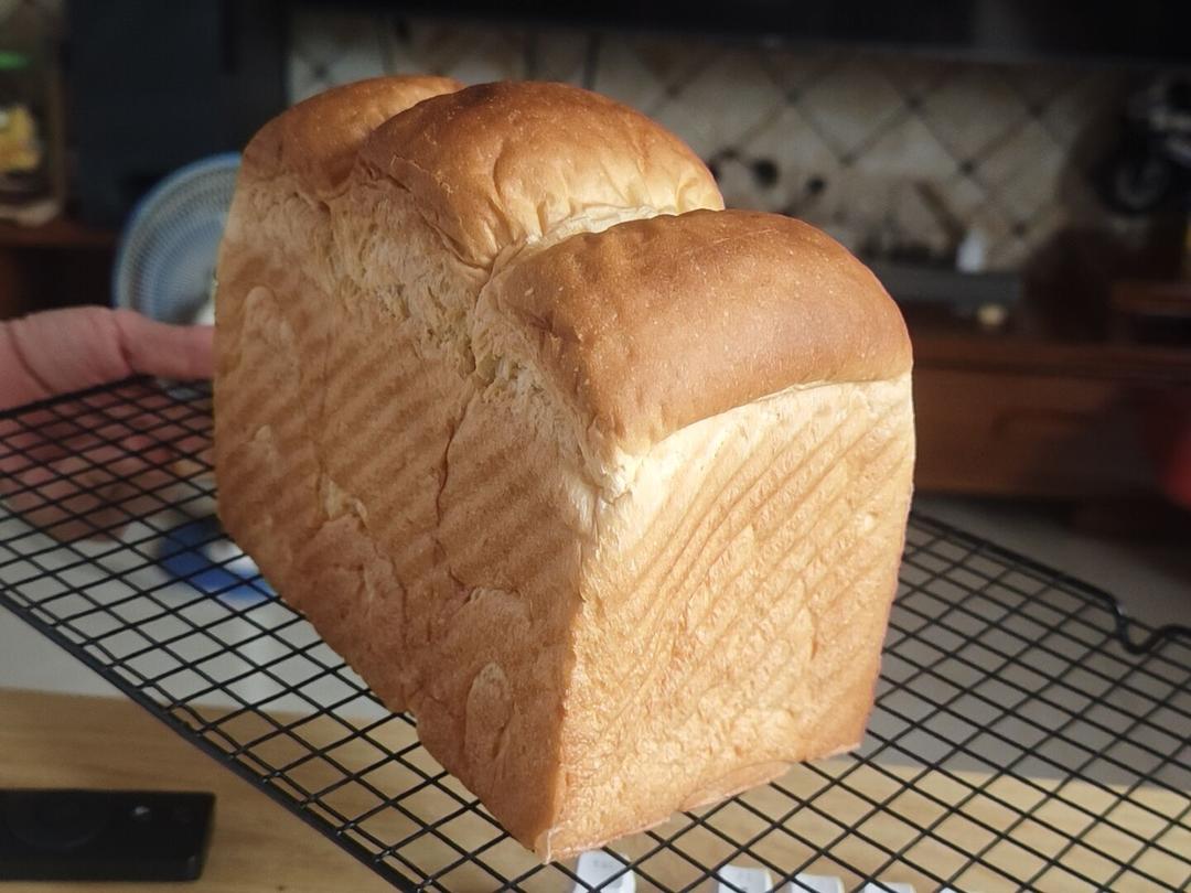 波兰种牛奶吐司
