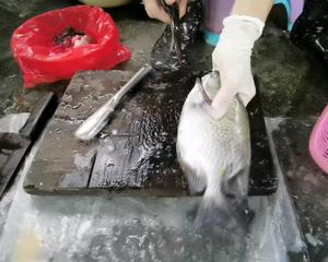 清蒸花泥猛🐟的做法 步骤1