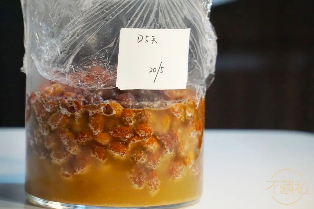 葡萄菌水&葡萄菌种养成记的做法