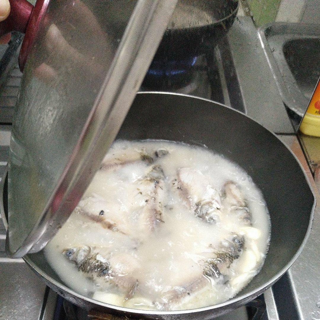 鲫鱼汤