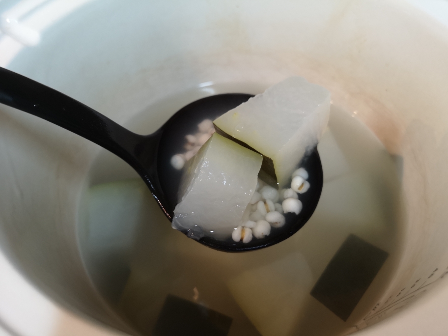 超级祛湿清热的冬瓜薏米水的做法 步骤6