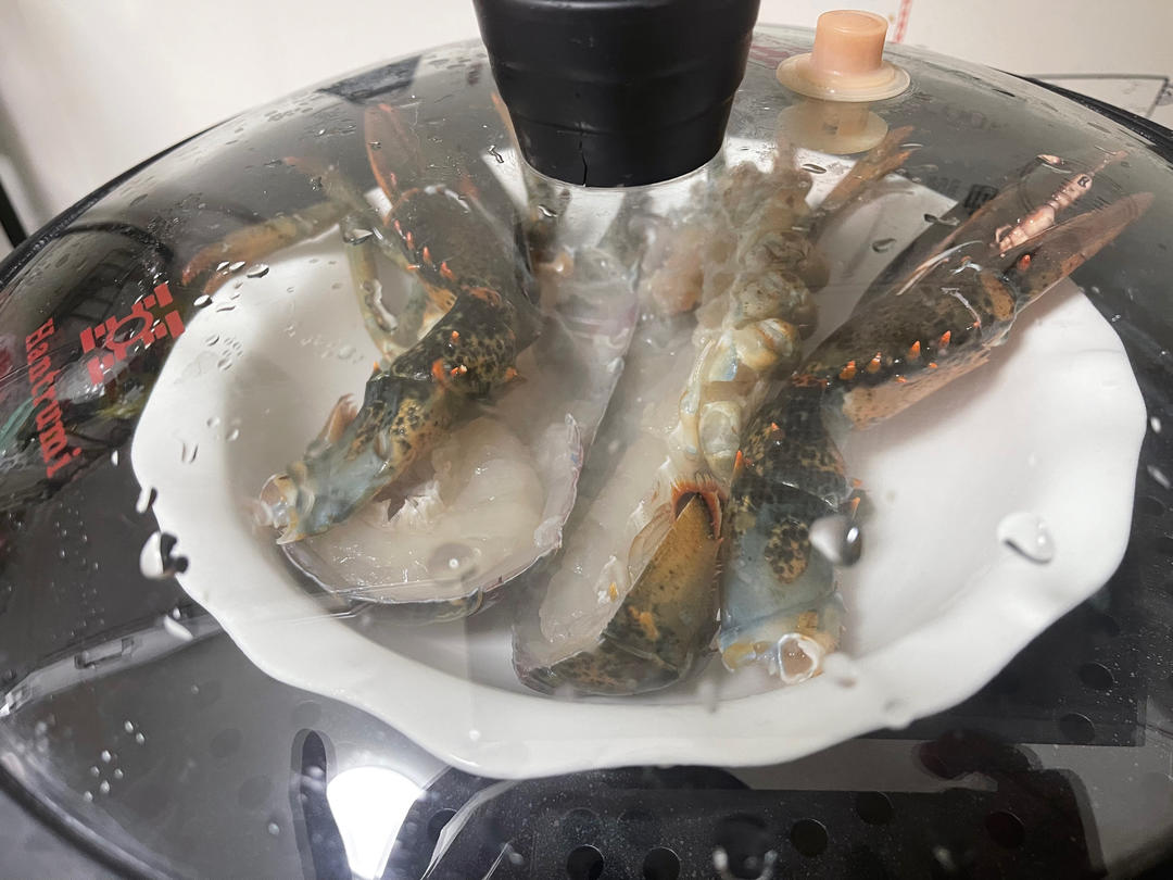 超简单清蒸波士顿龙虾