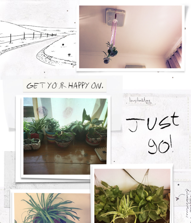 我们的厨房后花园