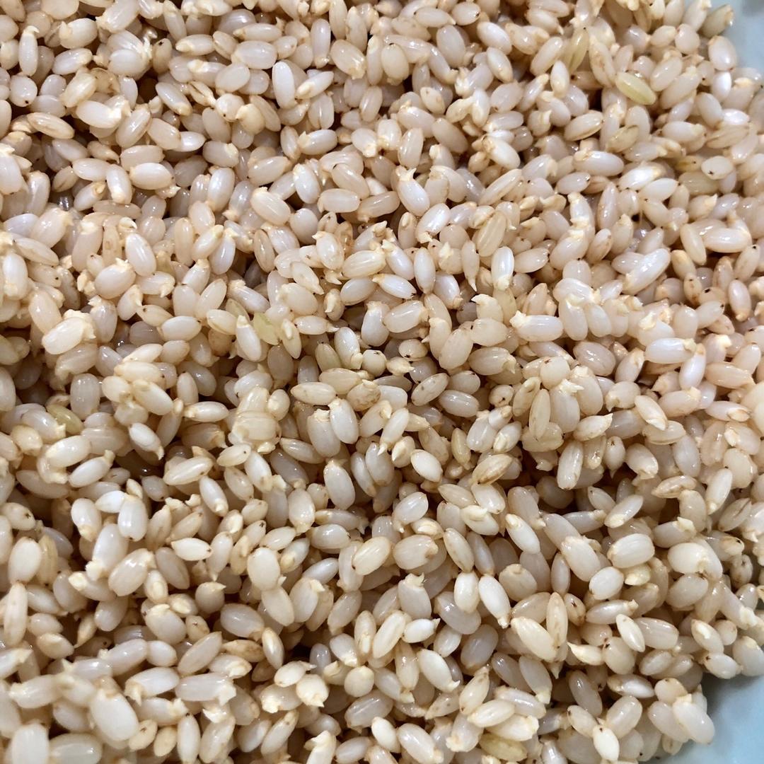 发芽糙米饭丨健康·三餐