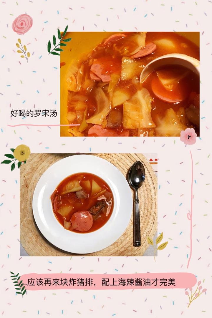 海派华老大罗宋汤