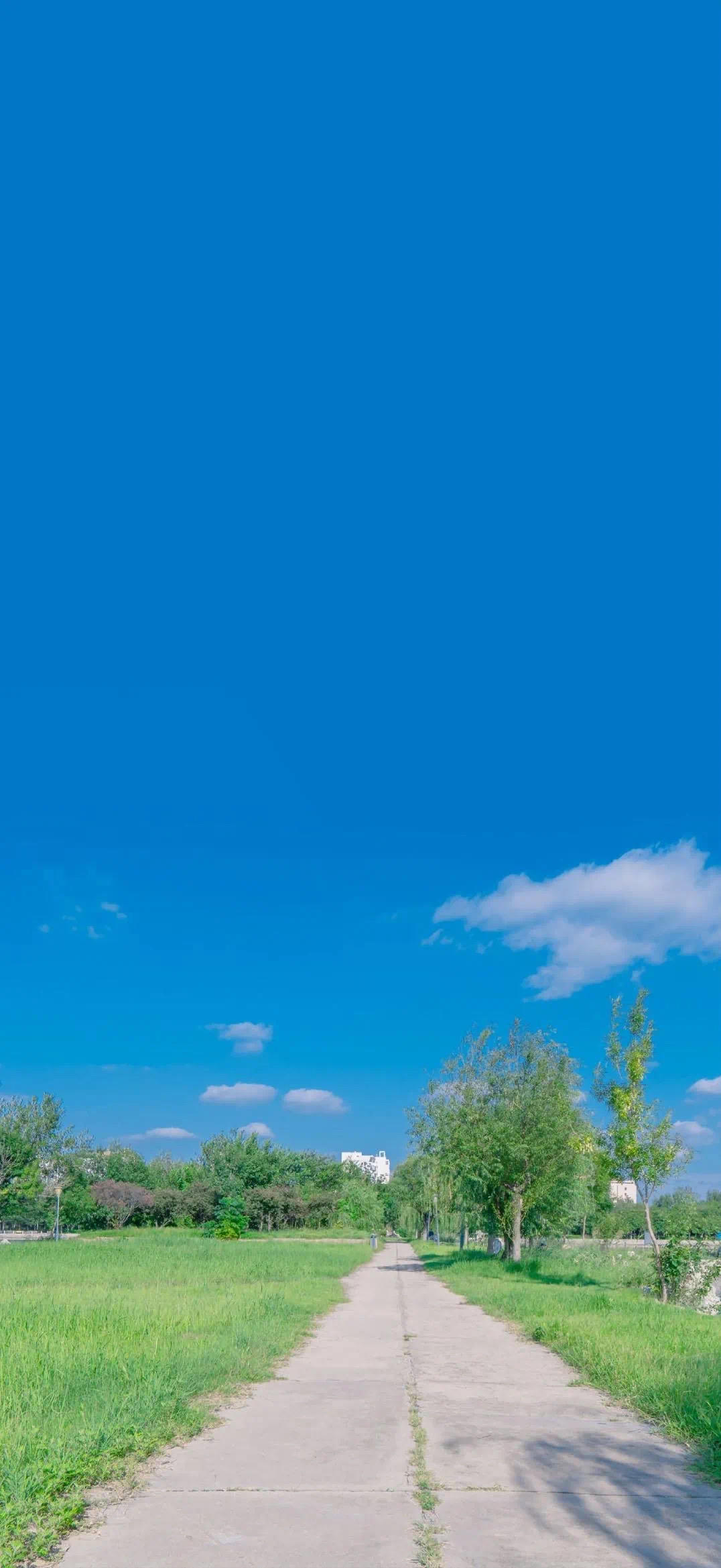 一只小蜗牛哈