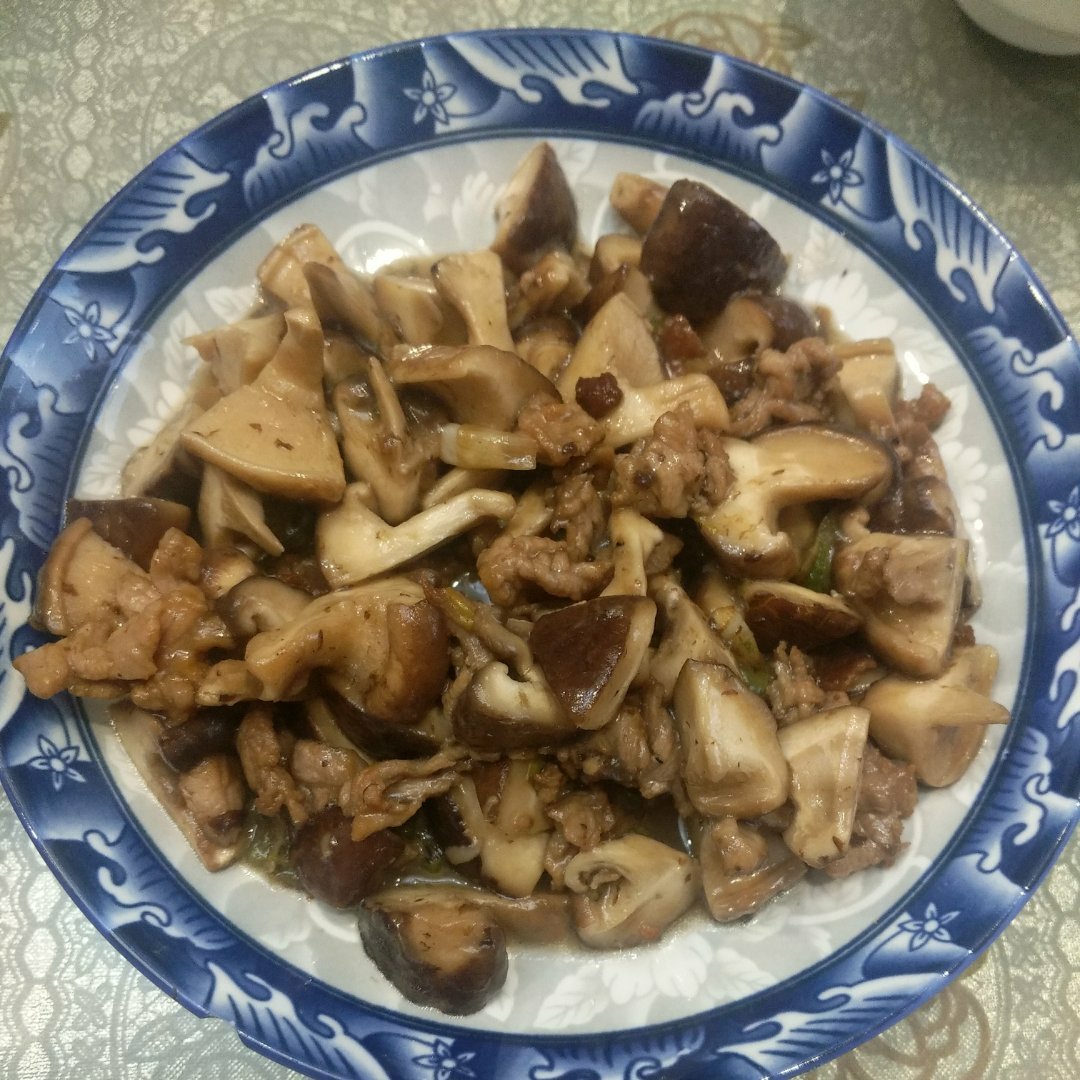小炒凤尾菇