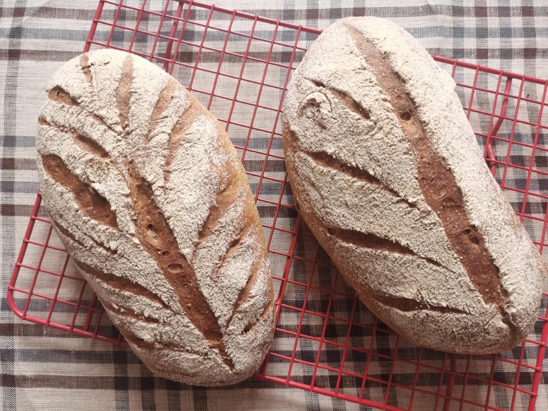 全麦蔓越莓软式欧包（免揉）