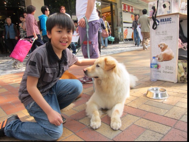 毛毛蟲的天空的厨房