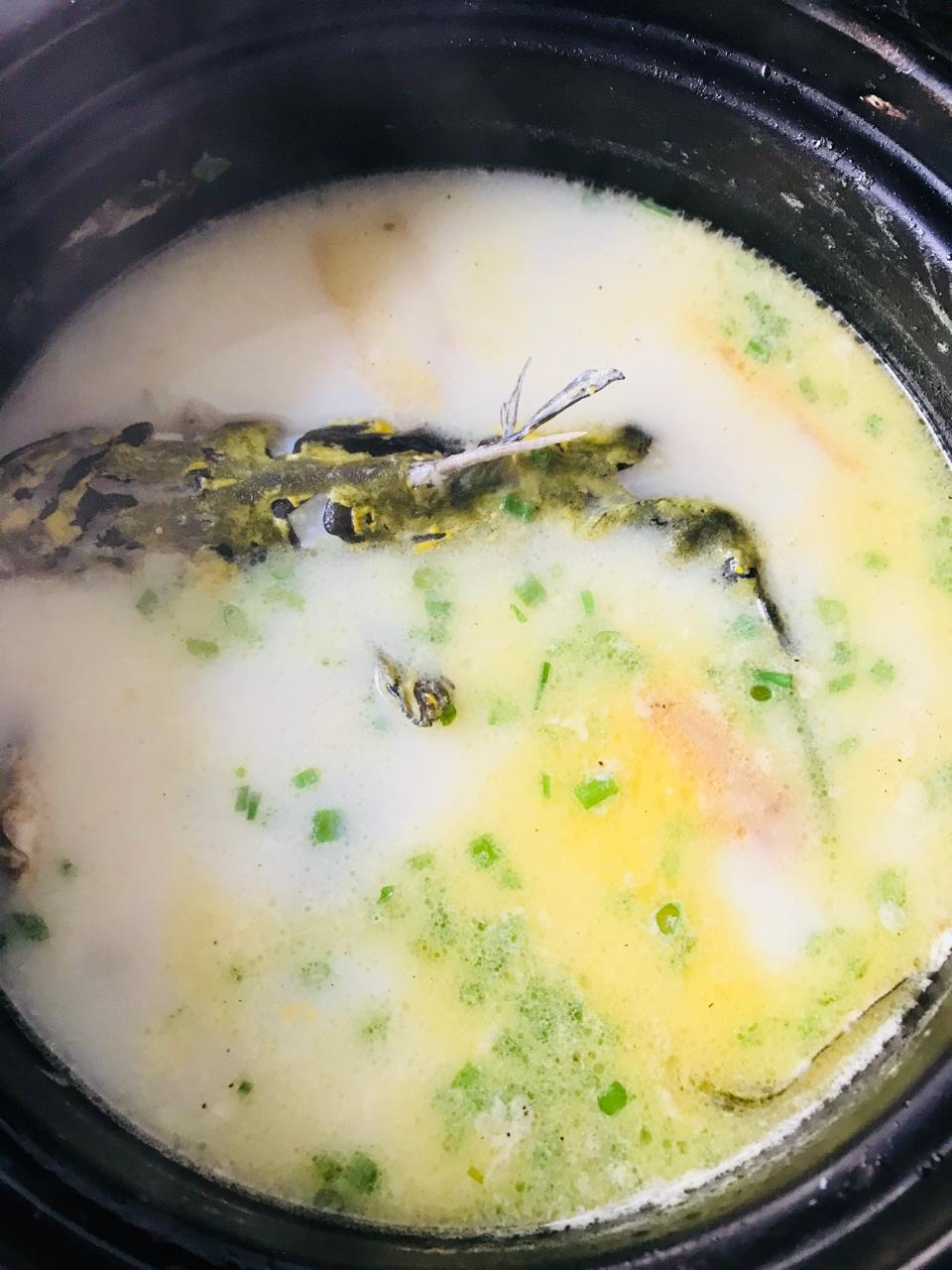 美丽快乐369做的昂刺鱼汤