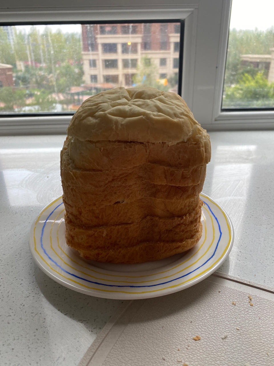 减脂全麦面包傻瓜式柏翠面包机操作百分百成功口感软糯