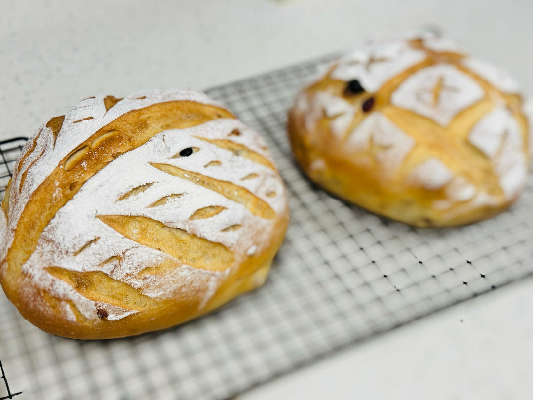 自由欧包（波兰种）