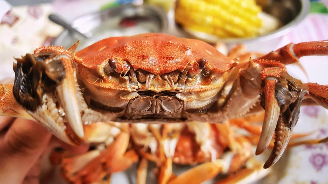 清蒸大闸蟹