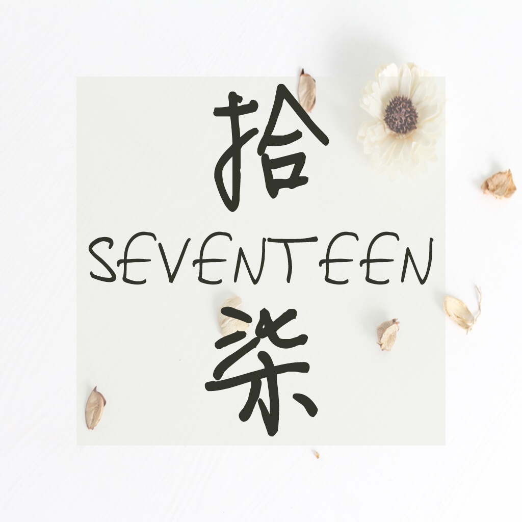 拾柒seventeen