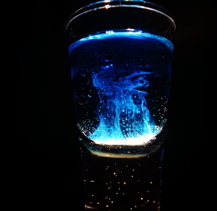 ajulove做的【鸡尾酒】水母