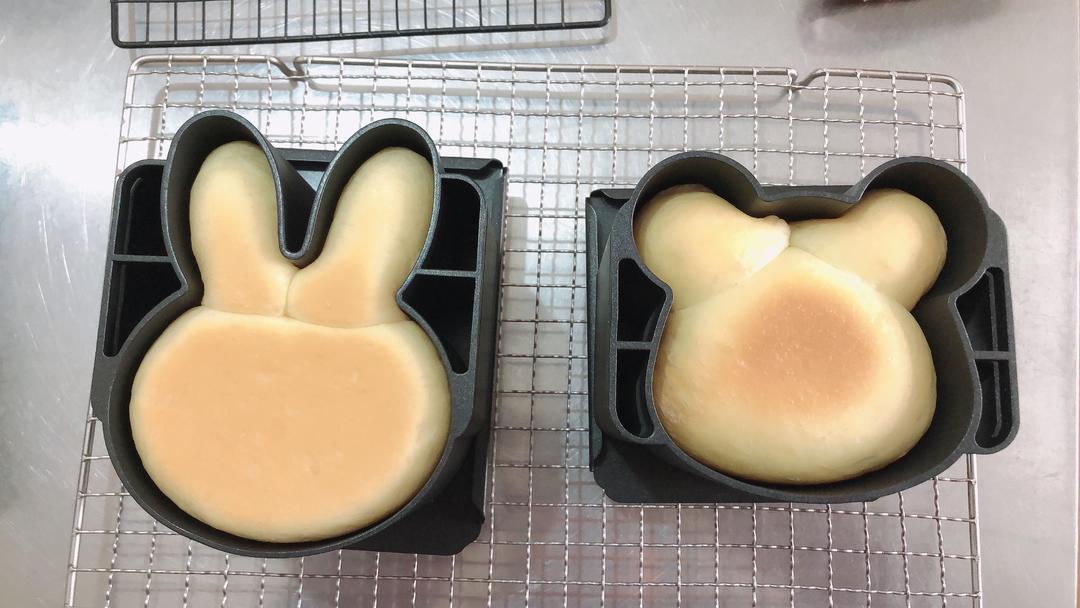 兔 熊 吐司（三能）