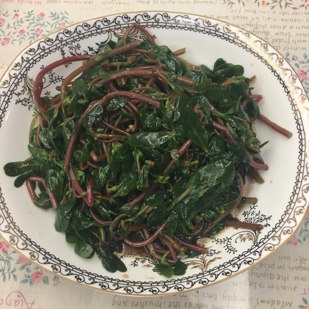 凉拌马马菜（凉拌马齿苋）