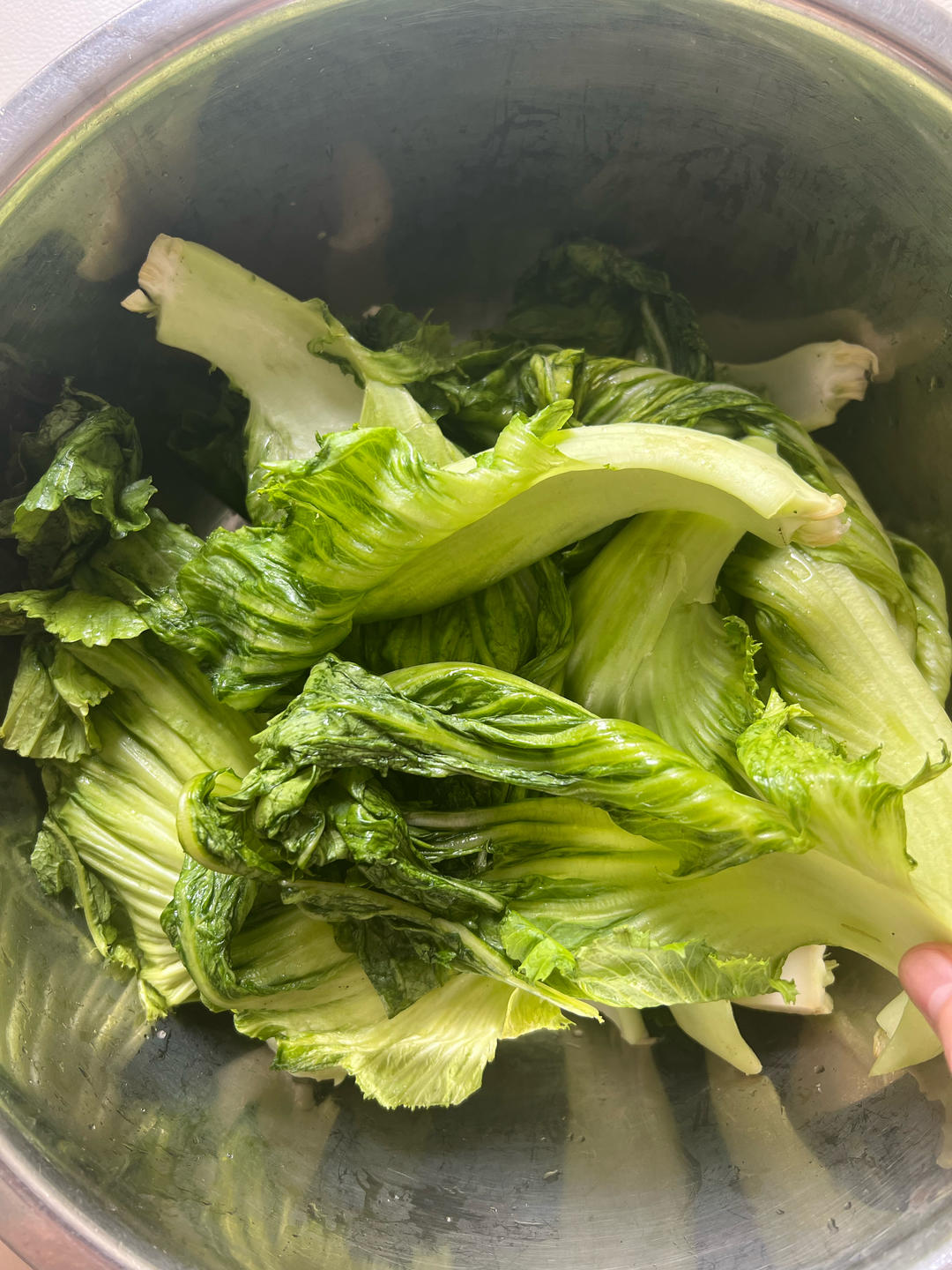 老祖宗的腌制酸菜方法（酸菜做法）