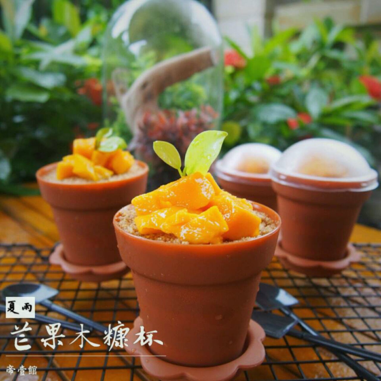木糠杯