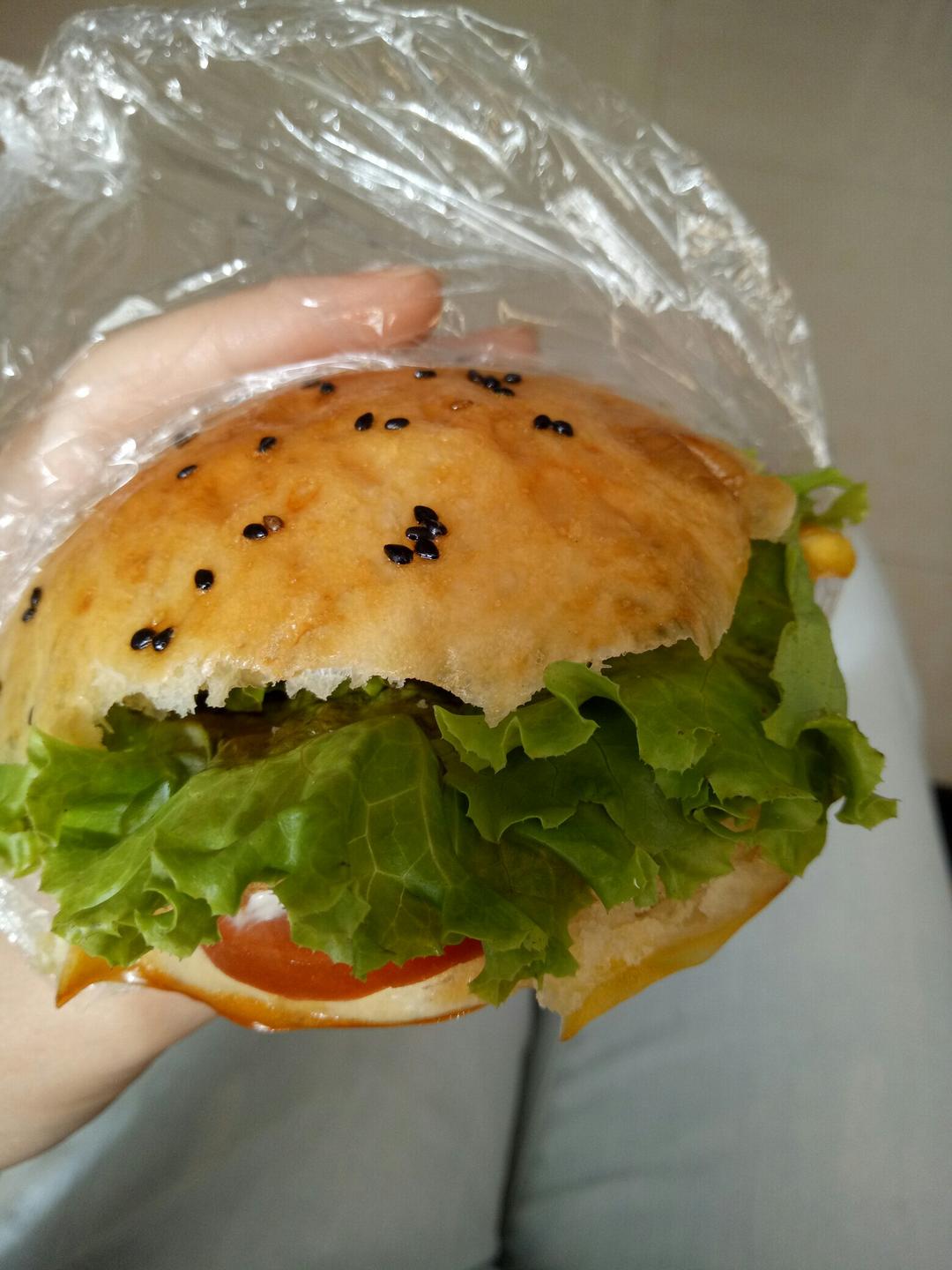 汉堡胚