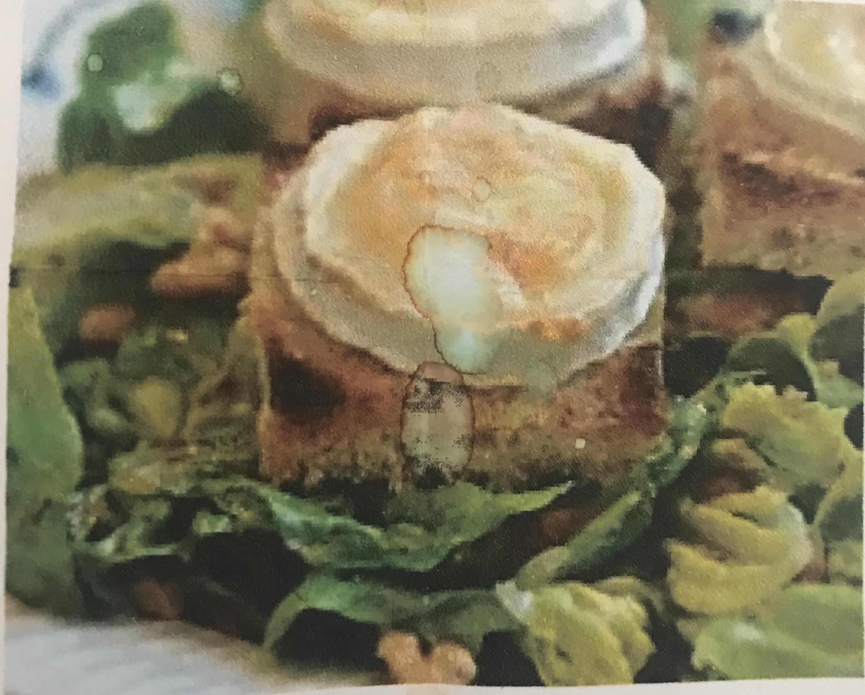 山羊奶酪沙拉Goat Cheese Salad的做法
