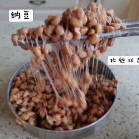 自制纳豆