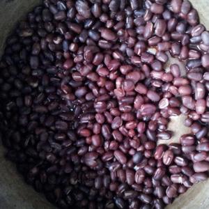 红豆小米杂粮糕的做法 步骤2
