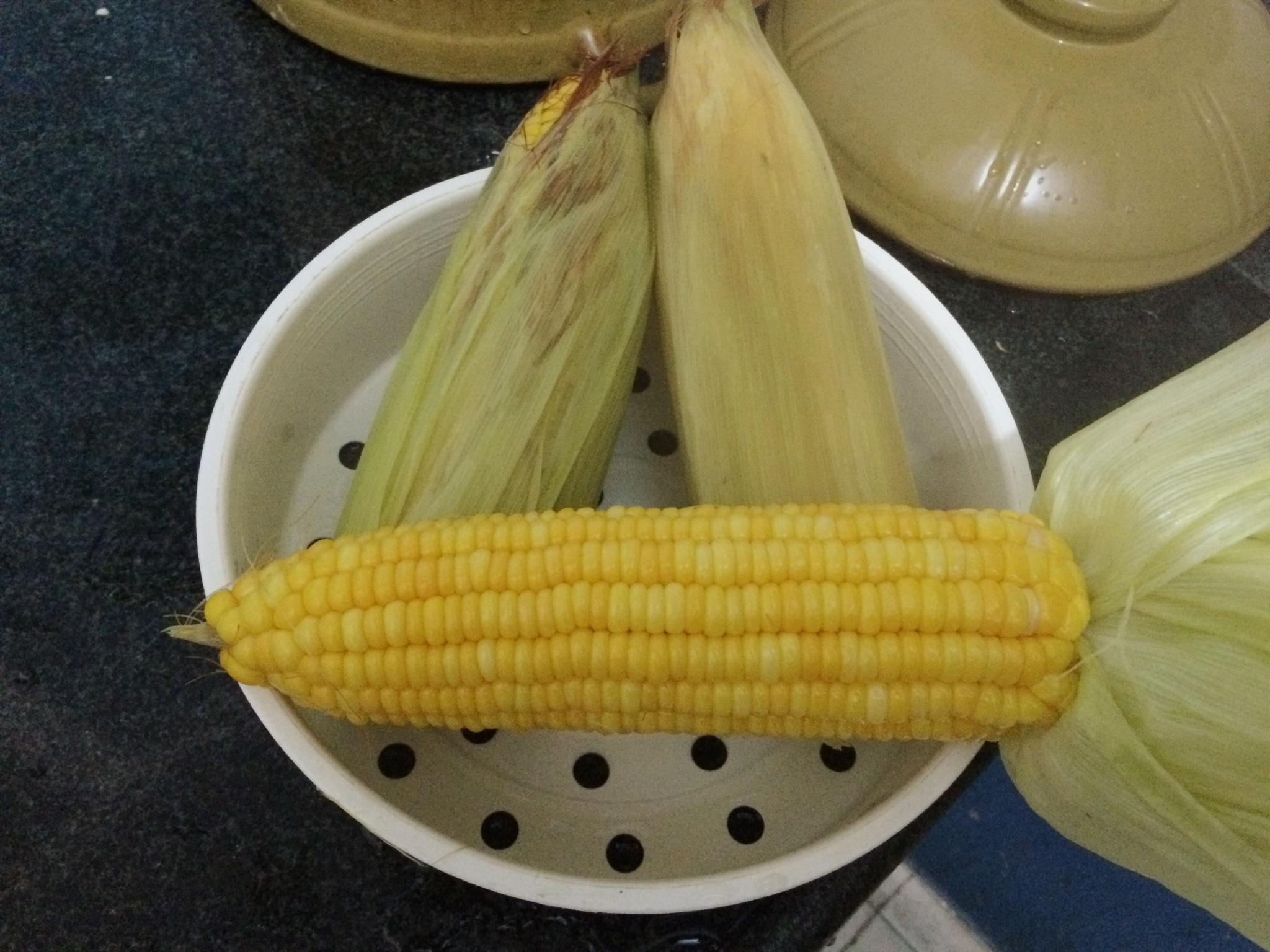 水煮玉米的做法 步骤5