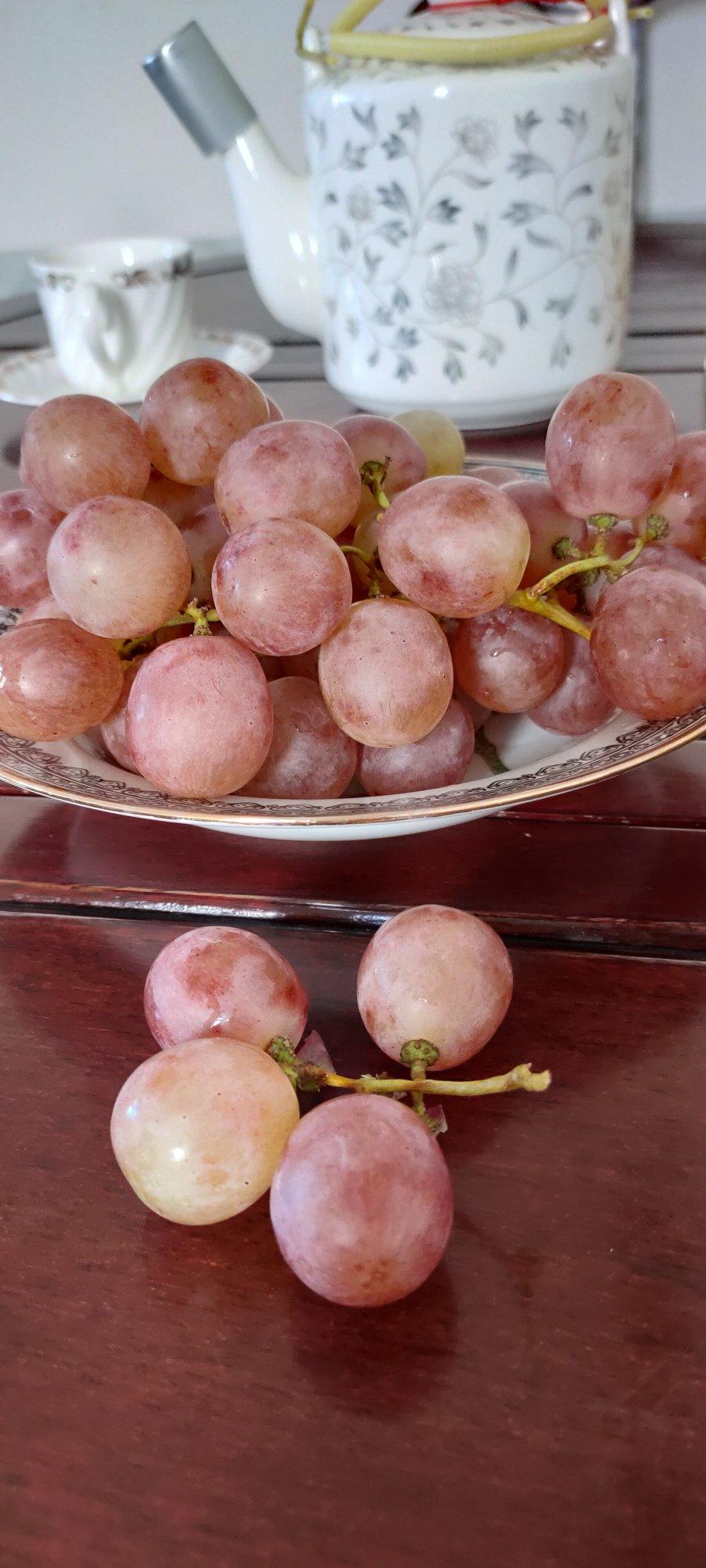 冰冻提子的全部作品