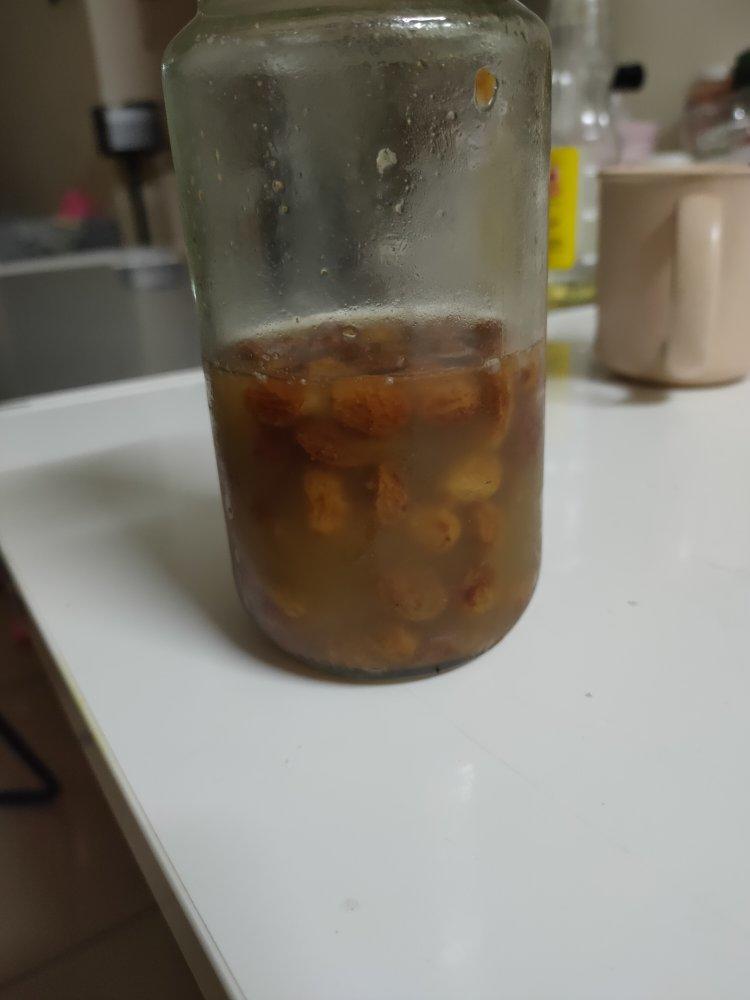 鲜酵母培养手册——葡萄酵母（鲁邦种）