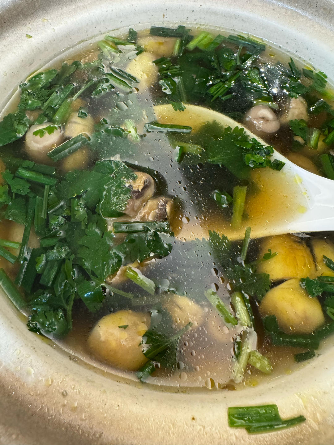 明明是素汤 却鲜得像鸡汤一样的「口蘑汤」