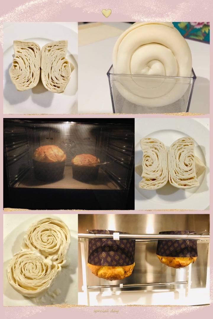 潘娜托尼(天然酵母版) Sourdough Panettone