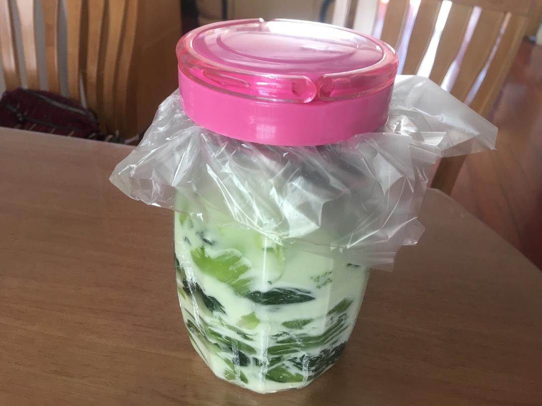 传统酸菜做法