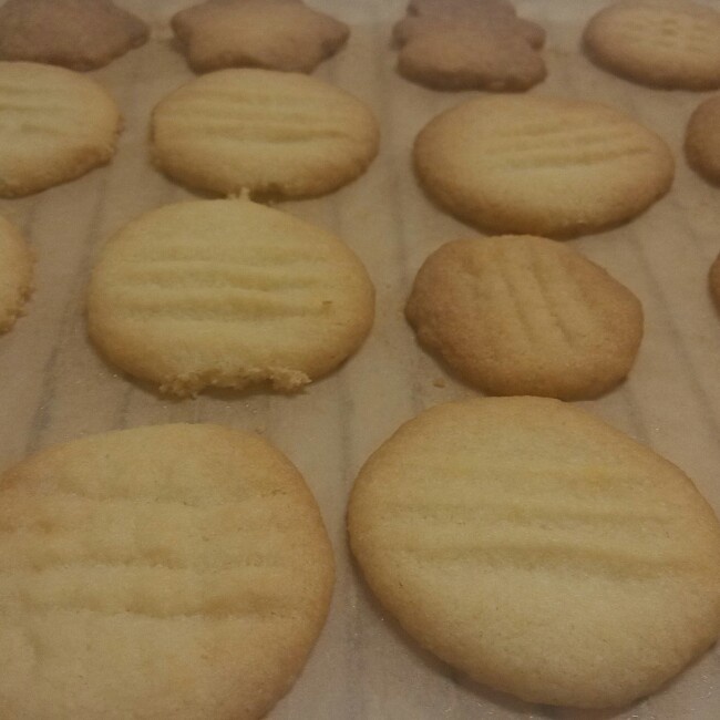 香草饼干（小嶋）