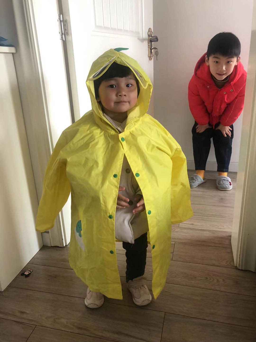 露露是个小甜蕉