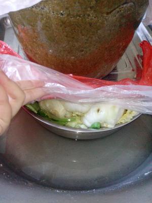 韩式泡菜的做法 步骤1