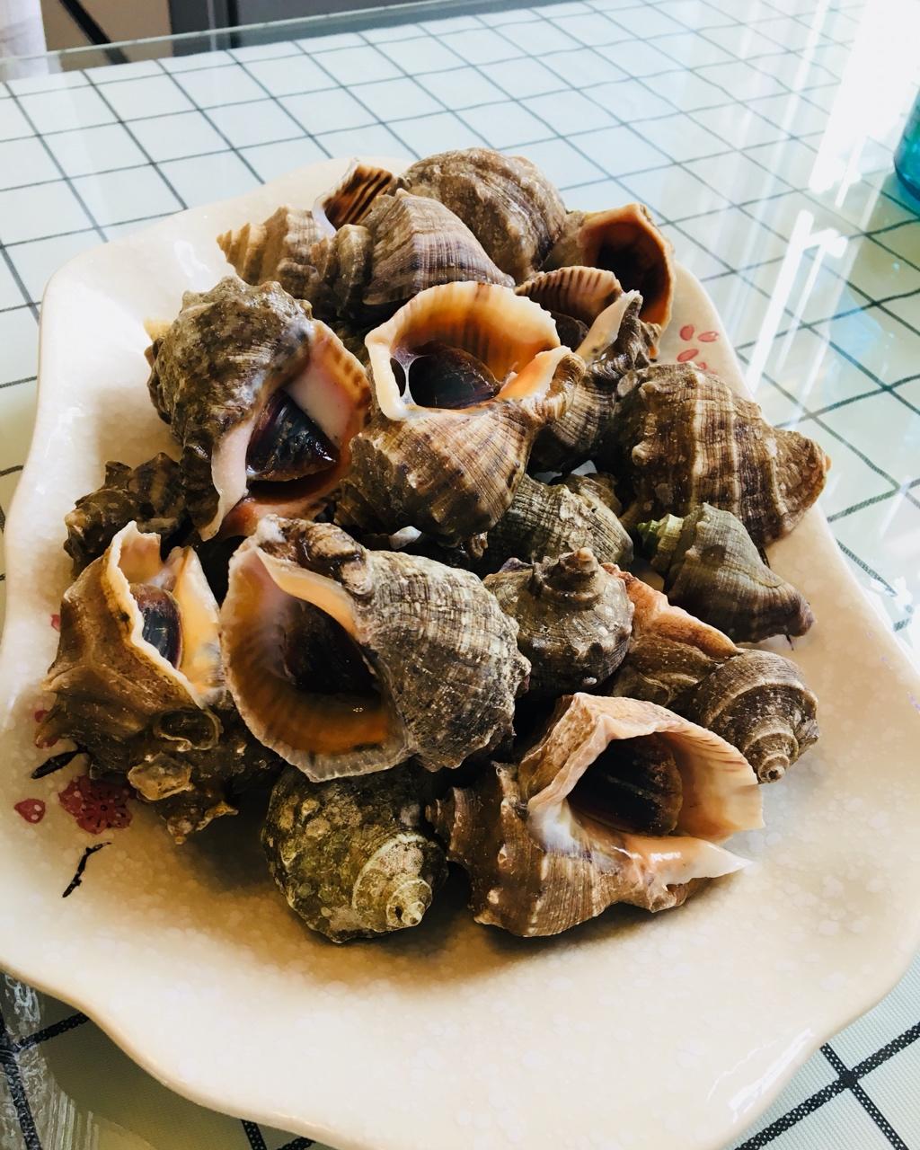 花开不是为了花落s做的水煮海螺