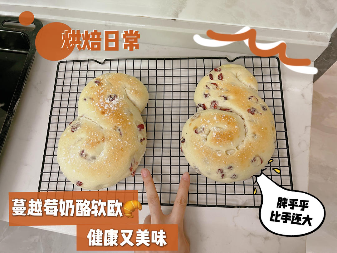 面包店里的常客——蔓越莓奶酪软欧