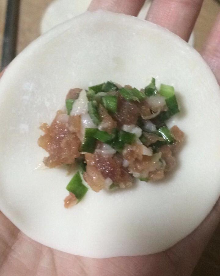 韭菜猪肉水饺