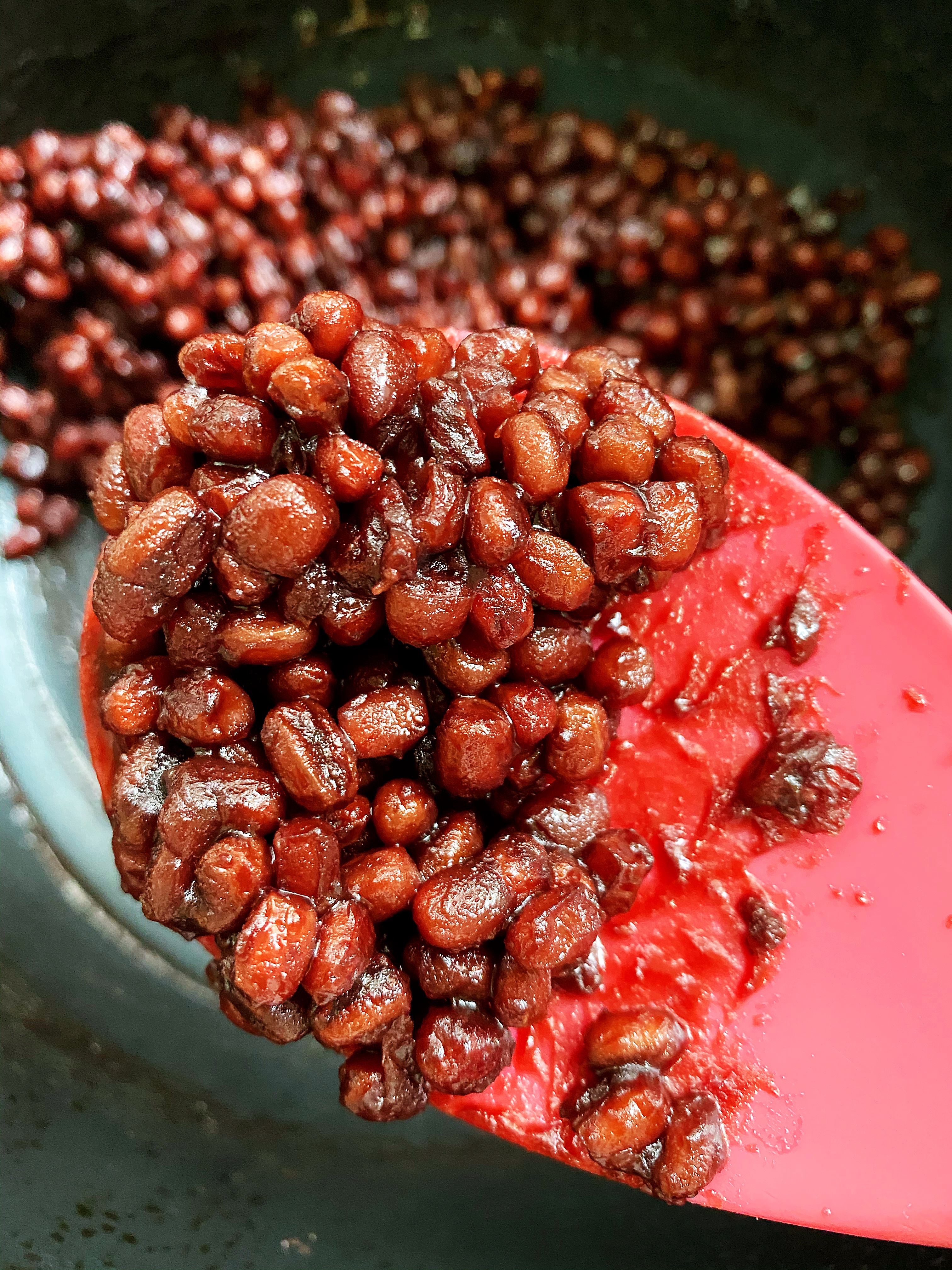 自制蜜红豆—懒人电饭锅版的做法 步骤5