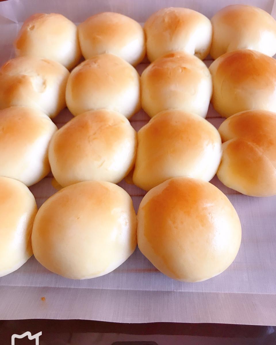 鲜奶油小餐包（一次发酵）