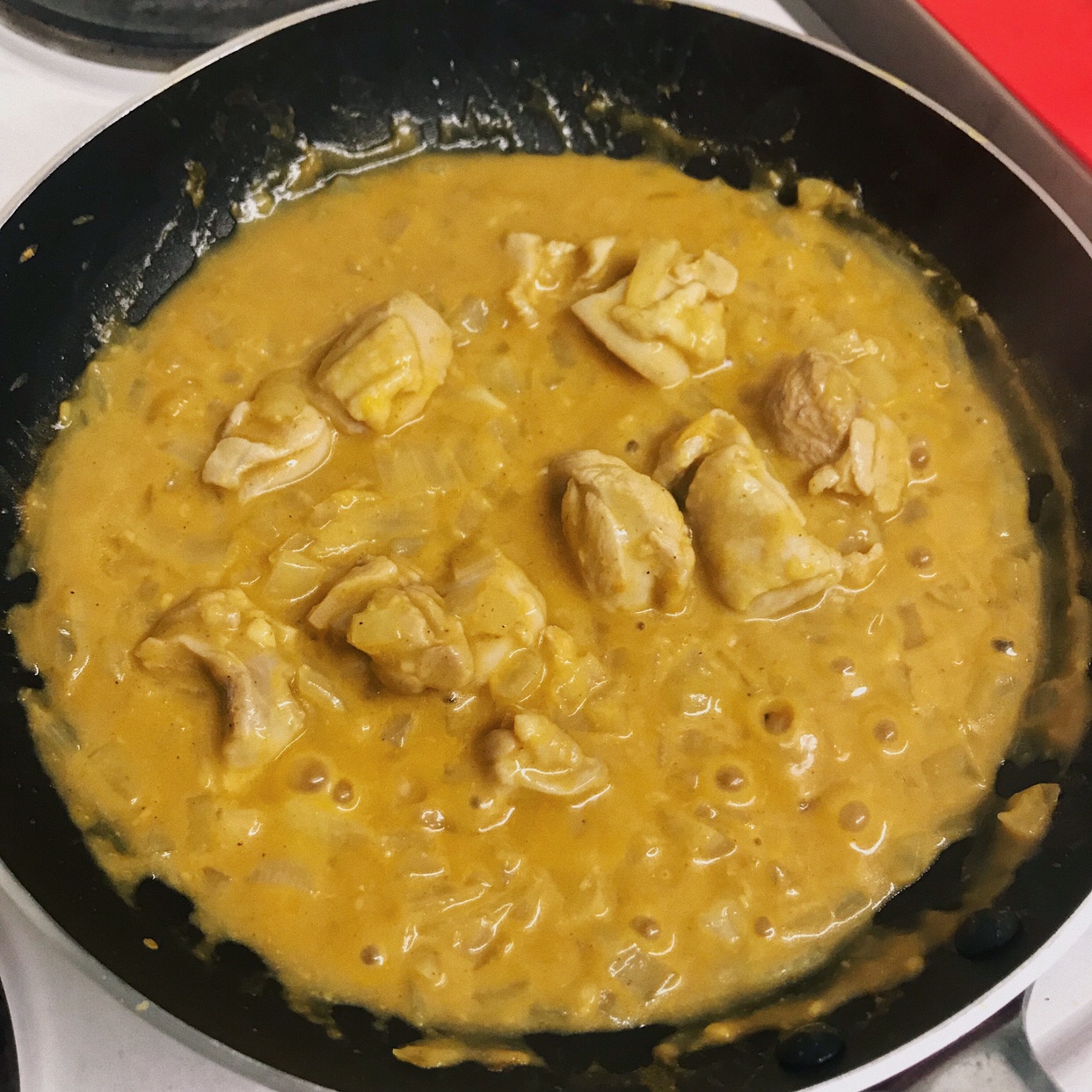 Korma Chicken 印度科尔马酸奶鸡肉咖喱的做法 步骤8