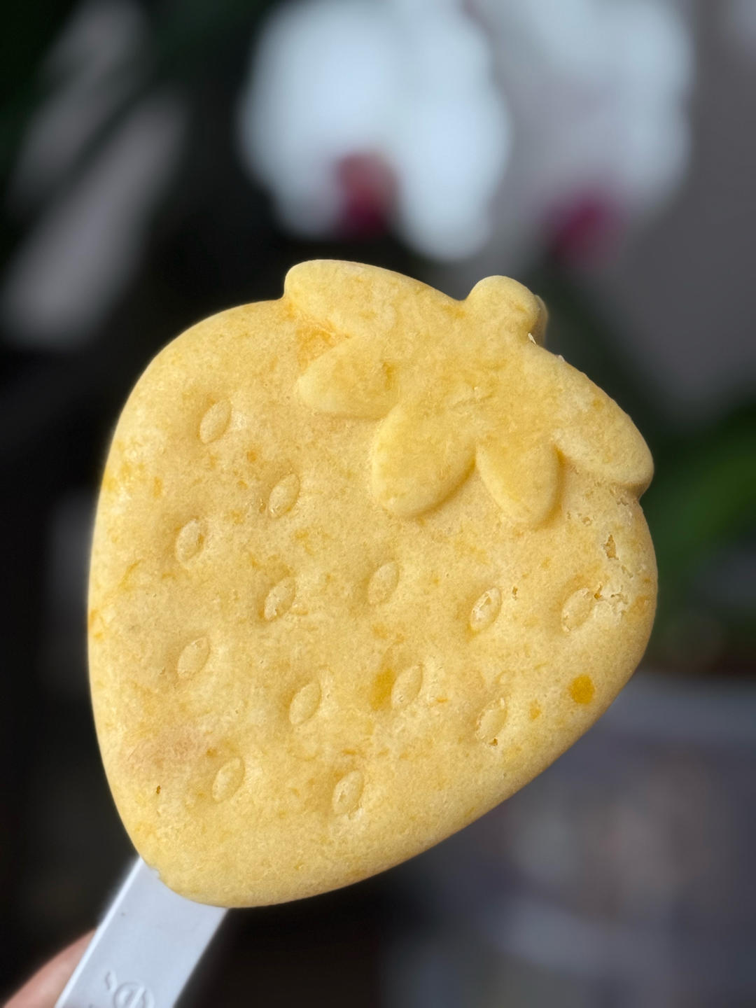 芒果酸奶冰淇淋🥭🍦
