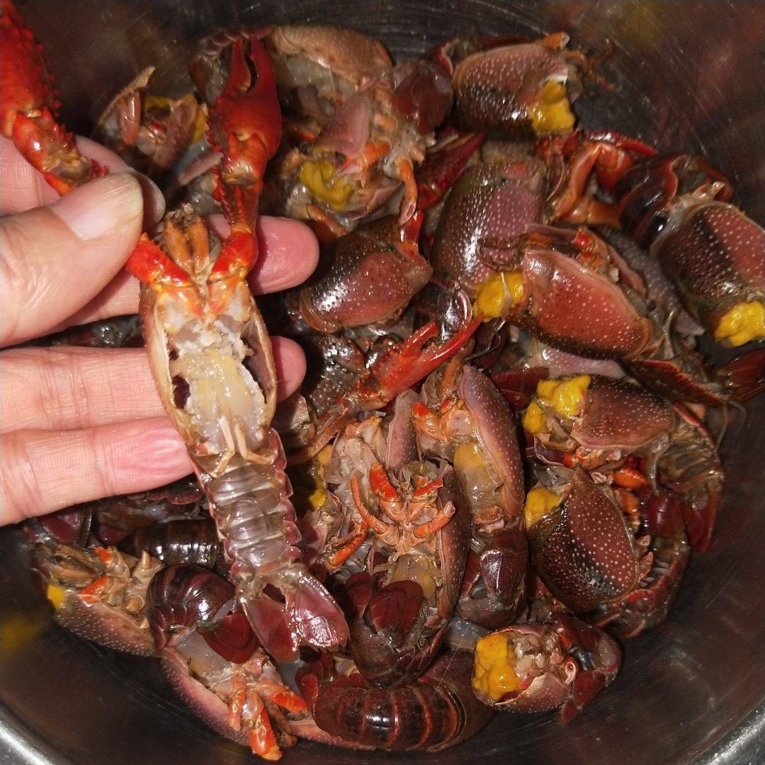 【最详细的清理小龙虾教程】医学解剖版