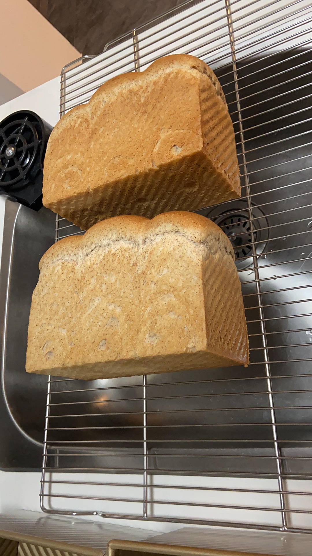 夺命软吐司(๑´ڡ`๑)超软拉丝极速方便的一次发酵吐司